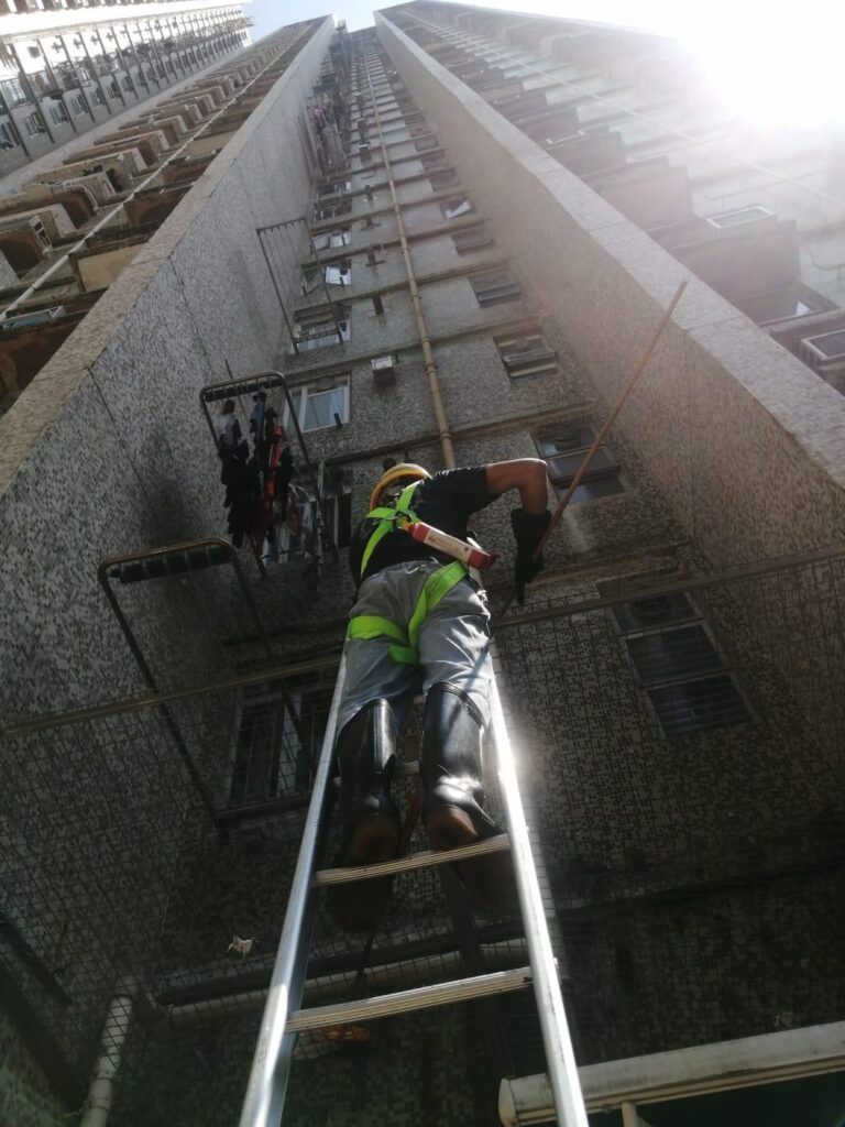 whatsapp image 2025 07 25 at 9.57.57 am (1)